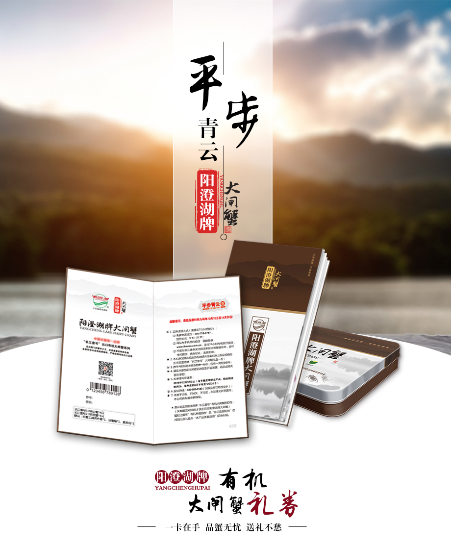 2017平步青云-券_01.jpg