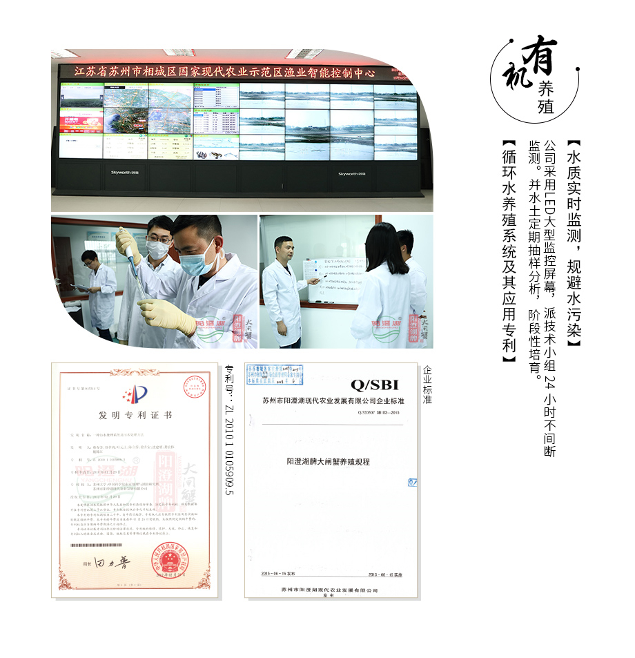 2017福星高照-券_12.jpg