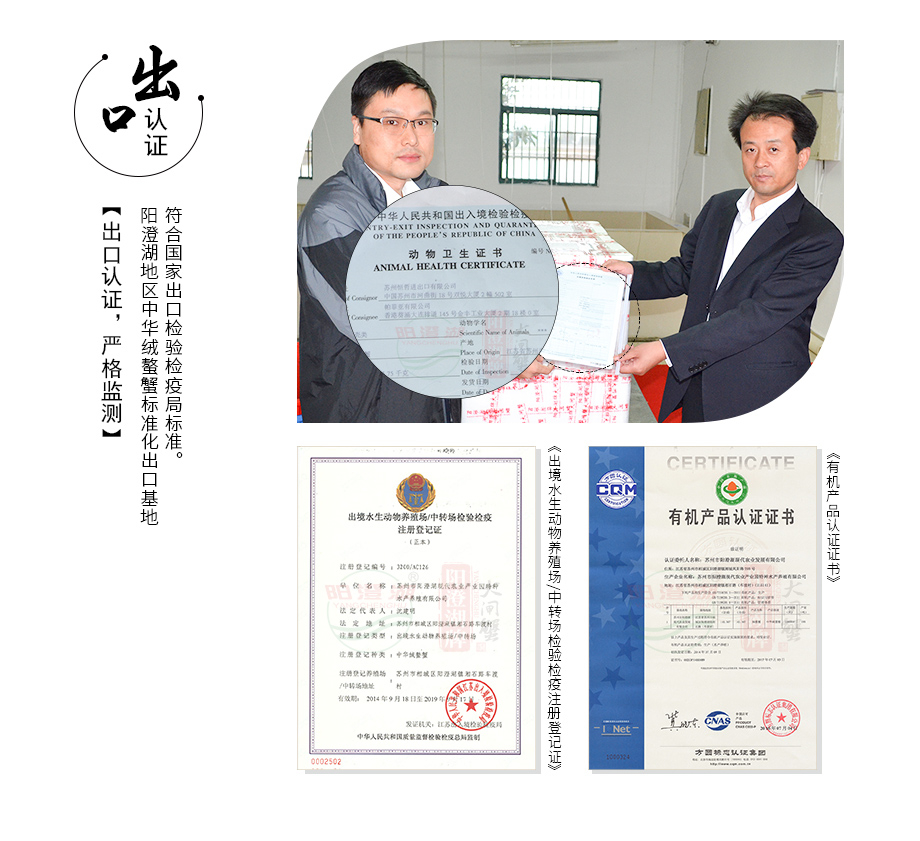 2017福星高照-券_13.jpg