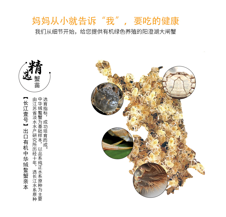 2017五福临门-券_11.jpg